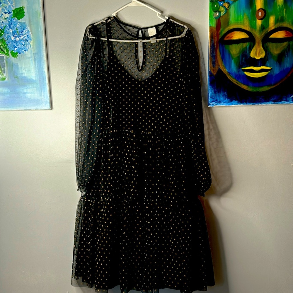 H&M dress sheer